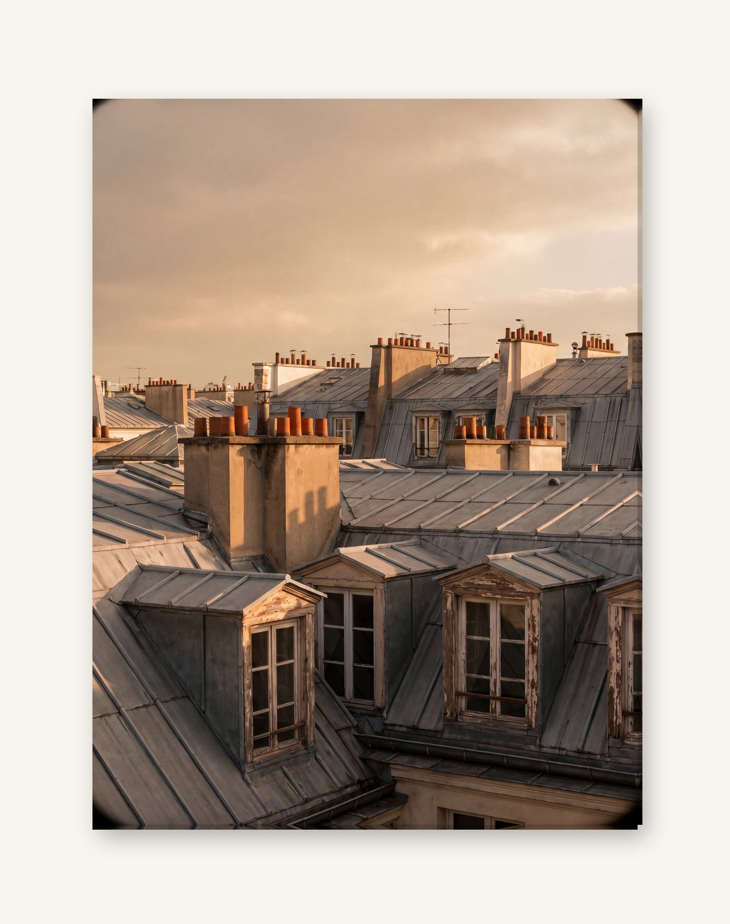 Toits — full-bleed gallery-wrapped canvas, NOLTRIO