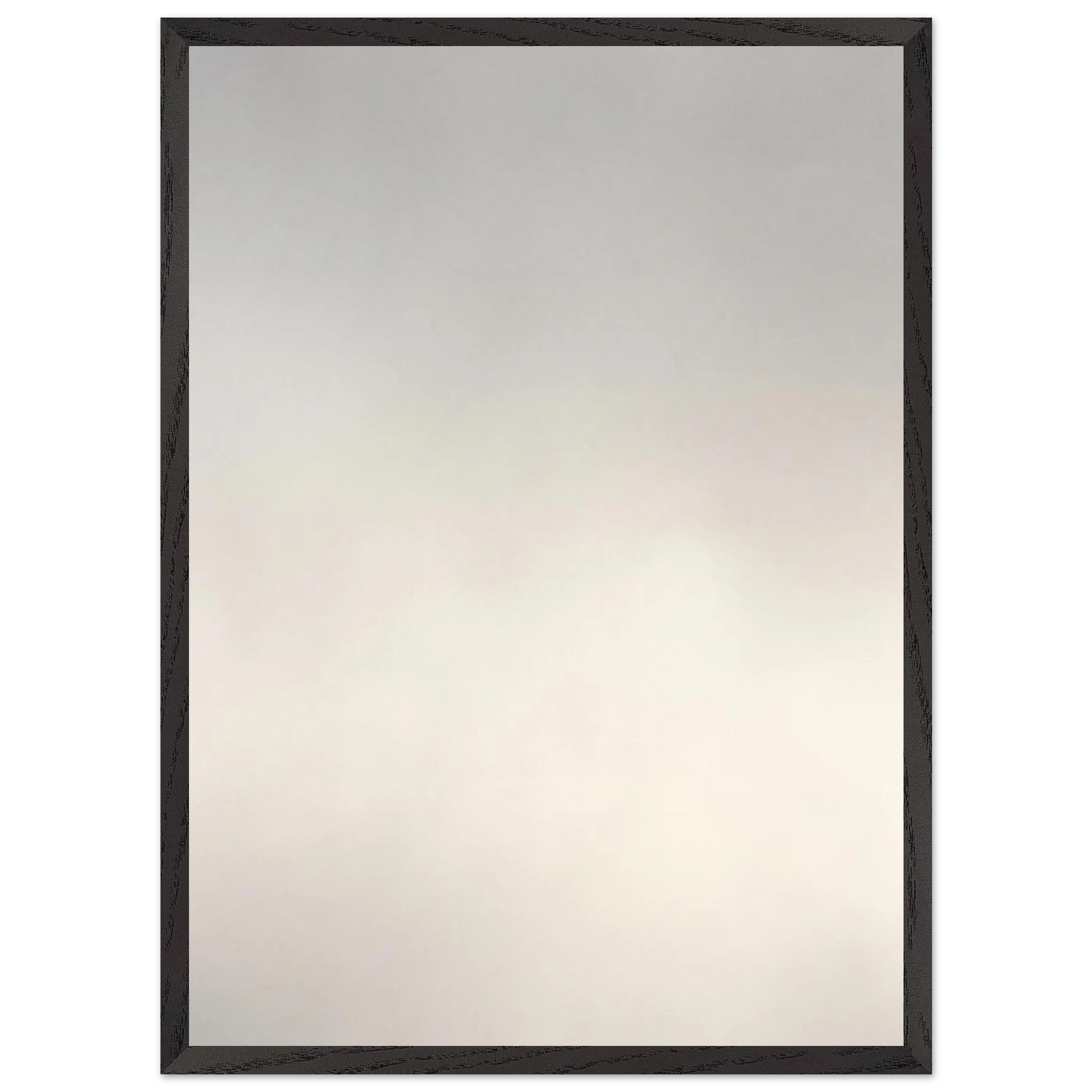 d9132917-5bf8-4341-9808-7ace0889dc40